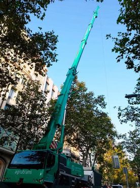 Agrutrans alquiler de grúas 33
