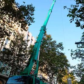 Agrutrans alquiler de grúas 33